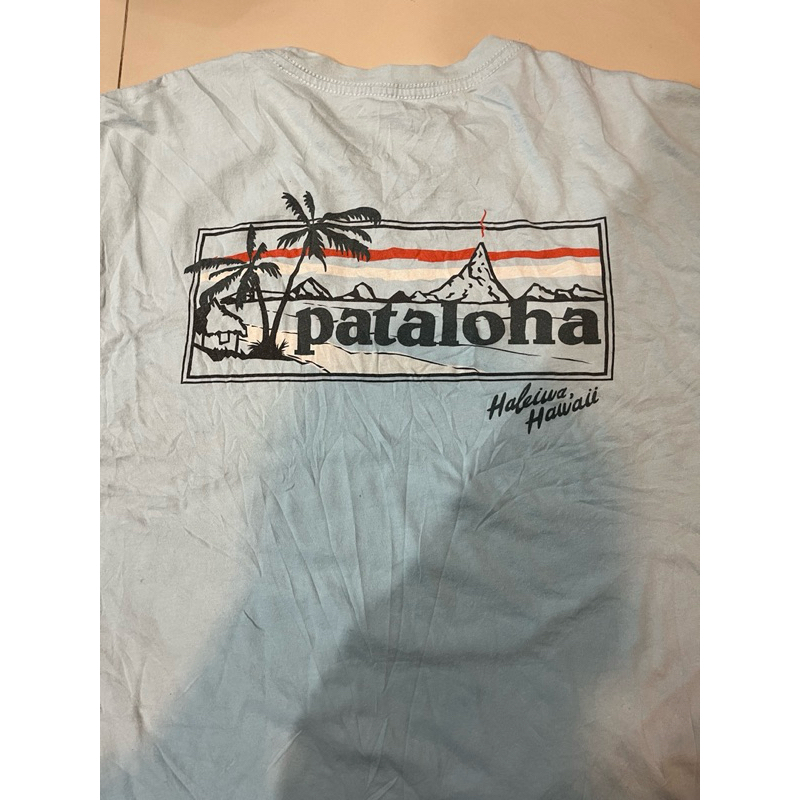 เสื้อยืด Patagonia(แท้) size L สีฟ้า