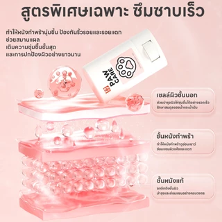 yoyopet : Paw Care 60g บาล์มบำรุงอุ้งเท้า จมูก ลดการเเห้งกร้าน สำหรับสุนัขและแมว ครีมทาเท้า แมว หมา