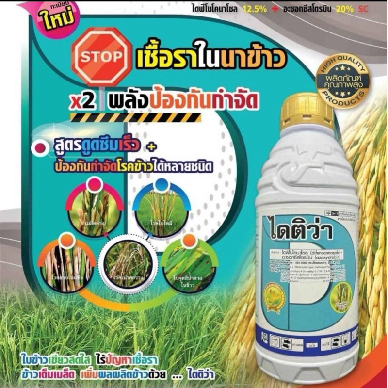 ไดติว่า สารตัวเดียวกับออติว่า