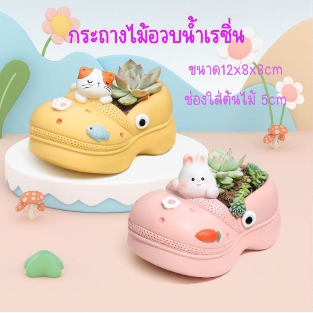 กระถางไม้อวบน้ำ แคตตัสเรซิ่นรองเท้า ปลูกต้นไม้ จัดสวน กระบองเพชร ของแต่งบ้าน