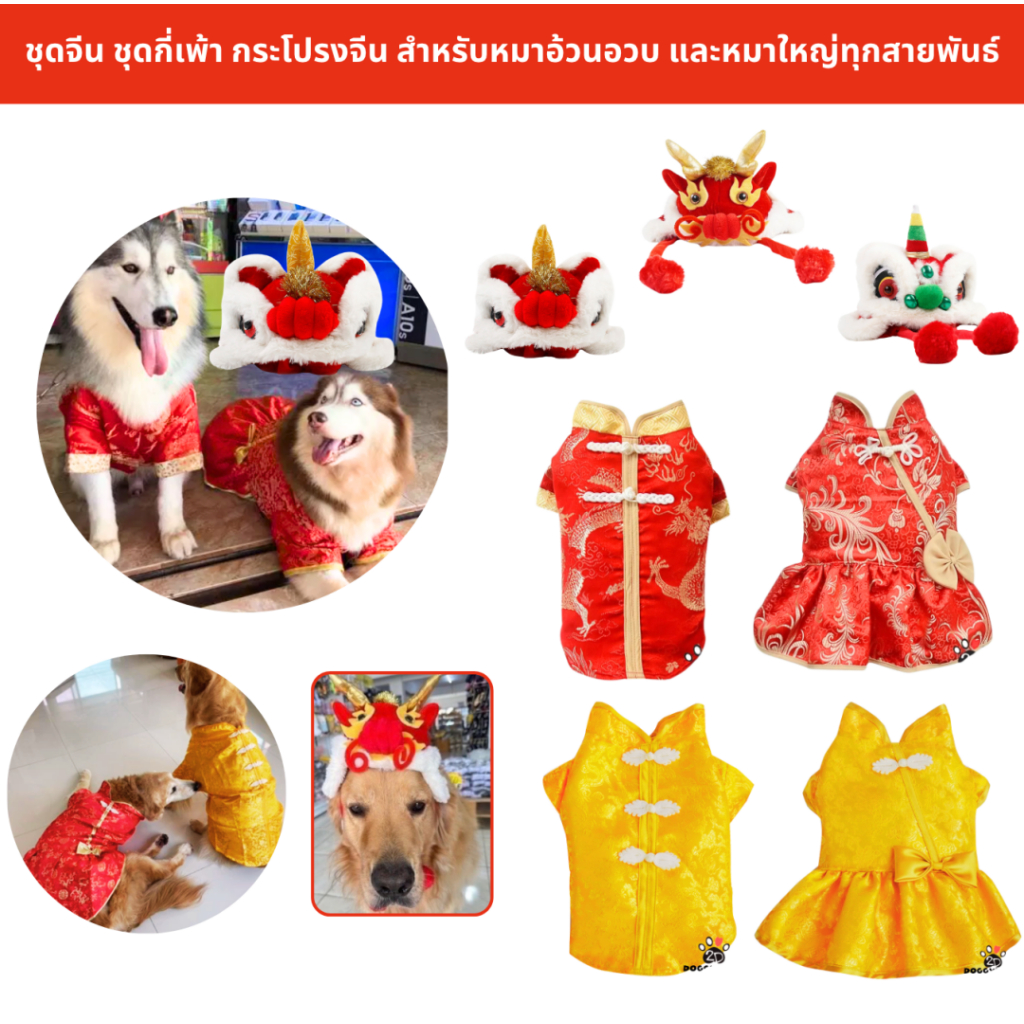 BIGDOG ชุดจีนหมาใหญ่ เสื้อจีนหมาอวบ มีทั้งแบบเสื้อ กระโปรง และหมวกมังกร เฟร้น บีเกิ้น ชิบะ โกลเด้น ไซบีเรียน