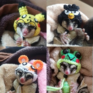 [[[ Pepzi&Family ]]] หมวกชูก้า​ กระรอก​ แฮมเตอร์​  เม่นเเคระ…