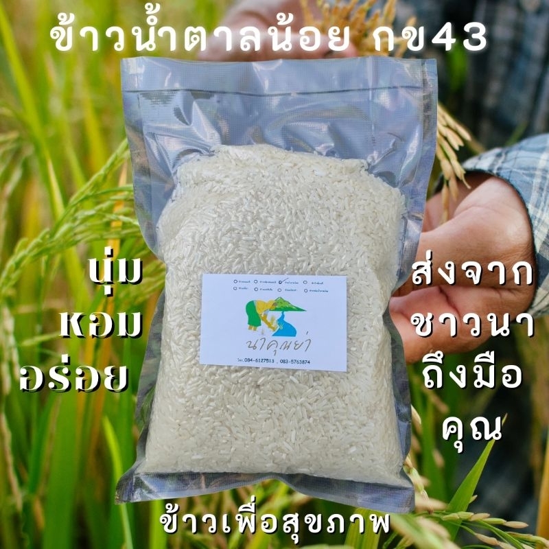ถูกที่สุด👍ข้าวน้ำตาลต่ำ ข้าว กข43 นาคุณย่า ข้าวน้ำตาลน้อย🌾ข้าวเพื่อสุขภาพ ออแกนิค ปลอดสารเคมี 🌾ส่งตรงจากชาวนาถึงมือคุณ