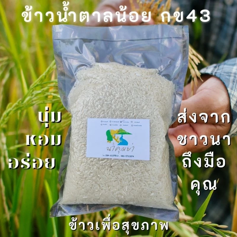 ถูกที่สุด👍ข้าวน้ำตาลต่ำ ข้าว กข43 นาคุณย่า ข้าวน้ำตาลน้อย🌾ข้าวเพื่อสุขภาพ ออแกนิค ปลอดสารเคมี 🌾ส่งตรงจากชาวนาถึงมือคุณ