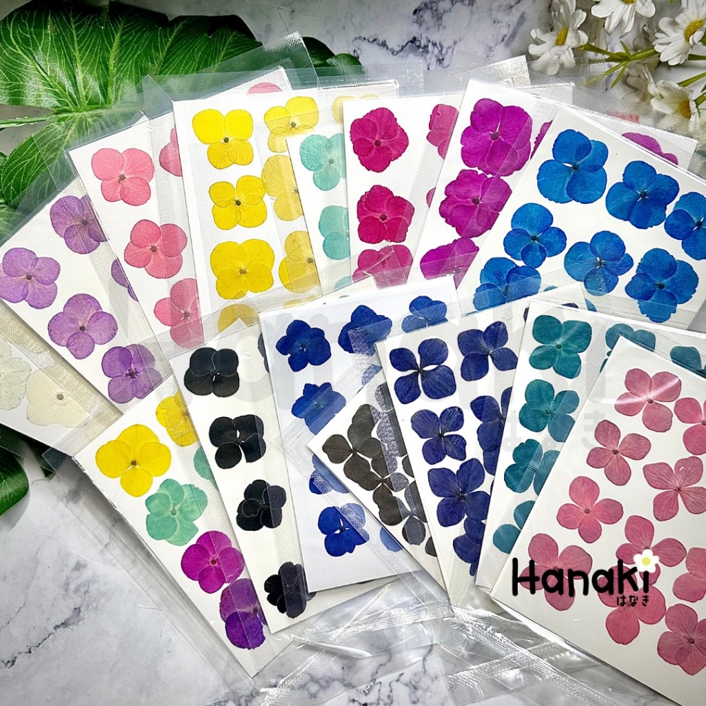 【พร้อมส่ง】ดอกไฮเดรนเยียสีพาสเทลทับแห้ง ดอกไม้จริงทับแห้ง ดอกไม้ทับแห้ง Pressed Flowers💐