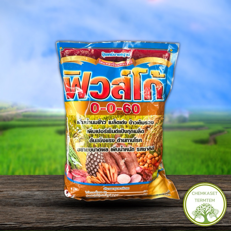 ฟิวส์โก้ 0-0-60 สูตรเพิ่มน้ำนมเพิ่มน้ำหนัก ช่วยเพิ่มแป้ง ขยายผล พร้อมต้านทานโรค