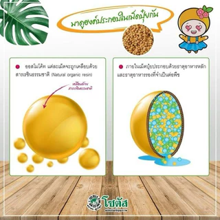 💙ออสโมโค้ท - พลัส สูตร 12-25-6)💙 ส่งเสริมการออกดอก✔️บำรุงดอก ดอกสมบูรณ์ ใส่ครั้งนึงอยู่ได้6เดือน