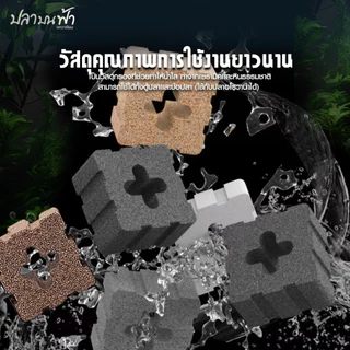 C-box เซรามิคหลี่ยมแปดร่อง 5 สี รุ่นอัพเกรด วัสดุกรองตู้ปลาคุณภาพสูงใช้ได้ยาวนาน ขนาด 4.5*4.5*3 cm.
