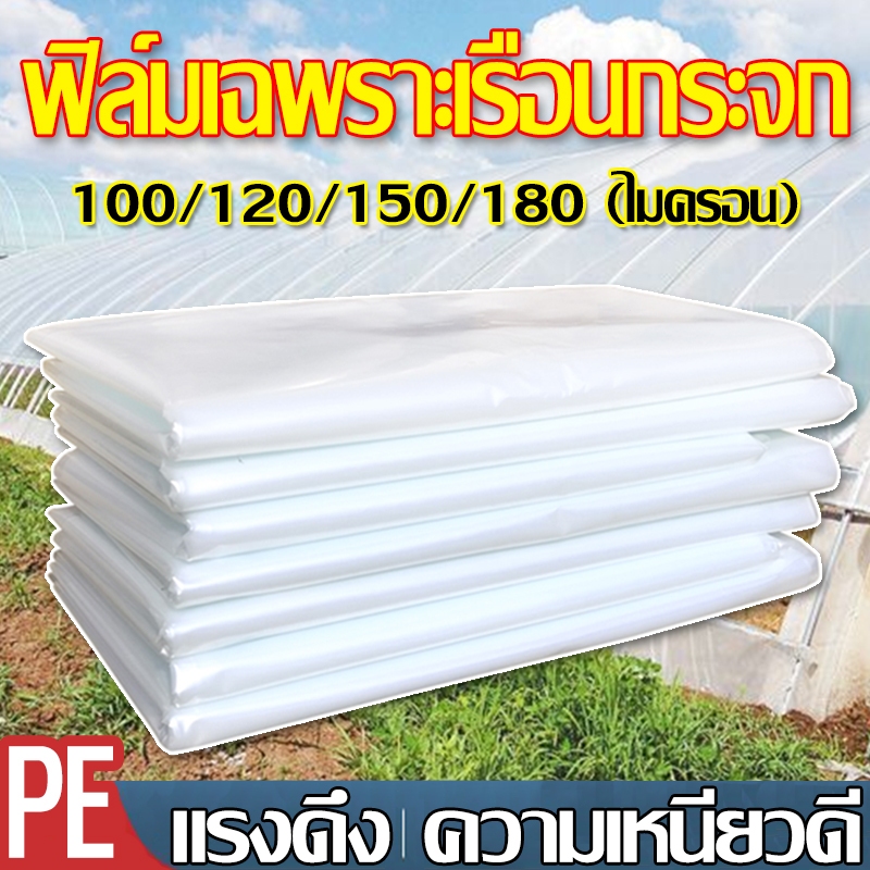 พลาสติกโรงเรือน พลาสติกใสโรงเรือนฟิล์มPE หนา 100/120/140/150/180/200 ไมครอน