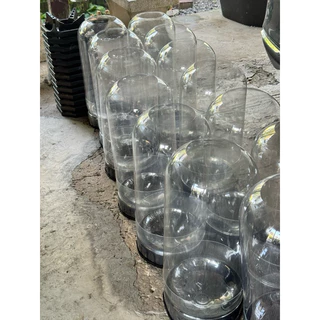 โหลพาลปลากัด ขนาด 20 L