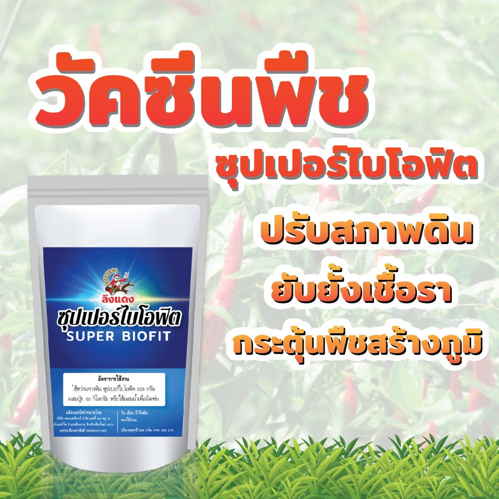 ไคโตซาน กำจัดเชื้อราในดิน ราน้ำค้าง โรครากเน่าโคนเน่า โรคใบด่าง ใบหงิก มะนาว พริก พืชผักสวนครัว
