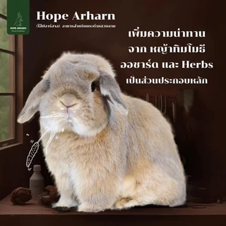 MAYL Hope Arharn อาหารกระต่ายเกรดพรีเมี่ยมจากมายล 👉กดติดตามรับโค้ดลด👈