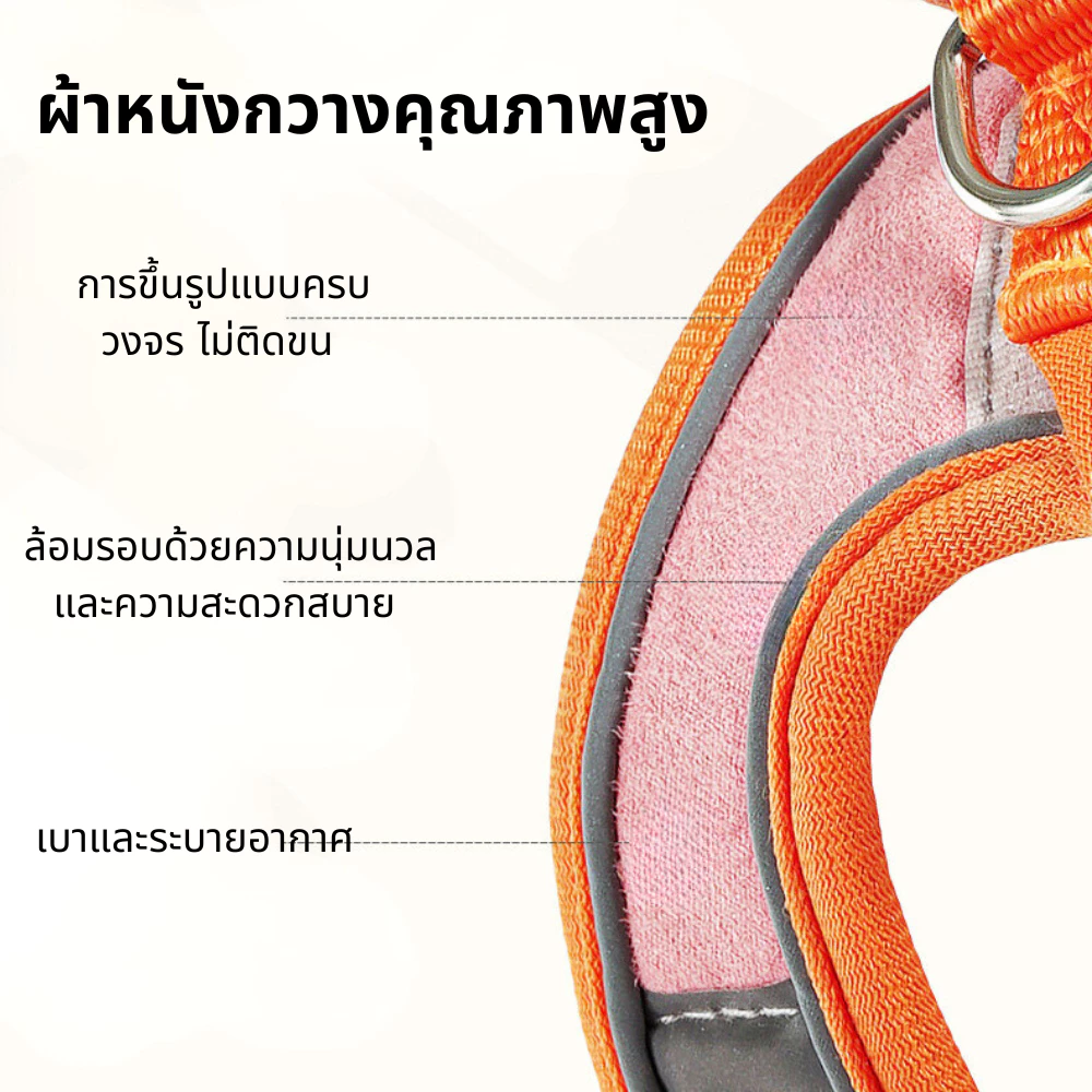 เชือกจูงแมววัสดุเรืองแสง thumbnail 10