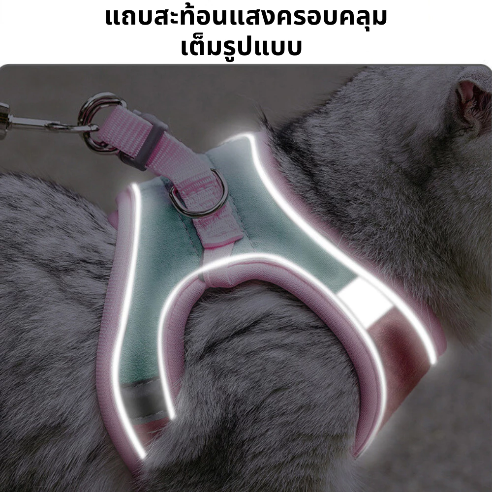 เชือกจูงแมววัสดุเรืองแสง thumbnail 5