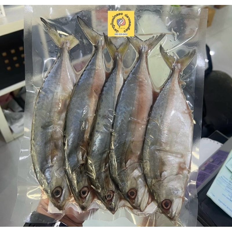 ปลาทูมัน(เค็มน้อย)ขนาด🐟5ตัว kg. #อร่อย