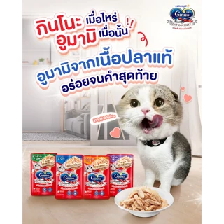 [กล่อง x12 ซื้อ 4 ฟรีพรมลับเล็บแมว] Ginno Cat Gourmet กินโนะ อาหารเปียกแมว 60g x12 ไม่เติมเกลือ