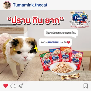 [กล่อง x12 ซื้อ 4 ฟรีพรมลับเล็บแมว] Ginno Cat Gourmet กินโนะ อาหารเปียกแมว 60g x12 ไม่เติมเกลือ