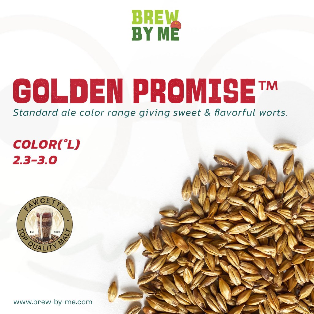 มอลต์ Golden Promise Pale Ale Malt – Thomas Fawcett malt ทำเบียร์