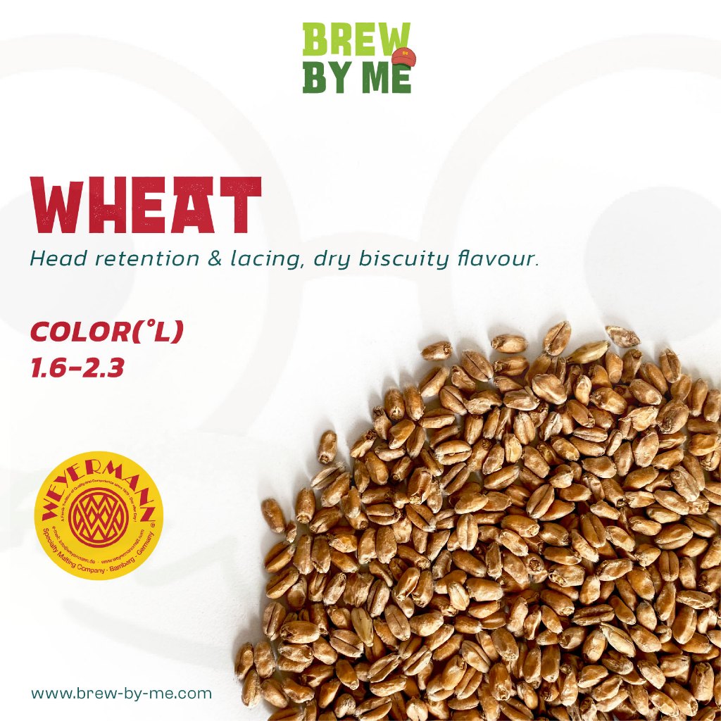 มอลต์ Wheat Malt – Weyermann #ทำเบียร์
