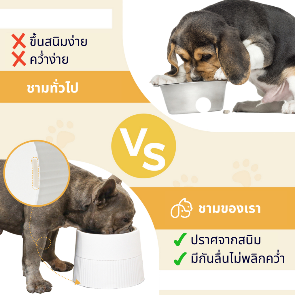 [พร้อมส่ง] ชามพลาสติก-แสตนเลสฟู้ดเกรด 2 ชั้น เหมาะสำหรับทั้งน้องหมาน้องแมว ทุกไซส์ทุกขนาด - รูปที่ 3