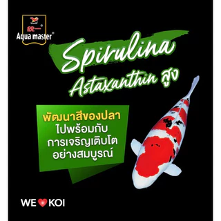 อาหารปลาคาร์ฟ Aqua master Staple สูตรมาตรฐาน ขนาด 10 กิโลกรัม