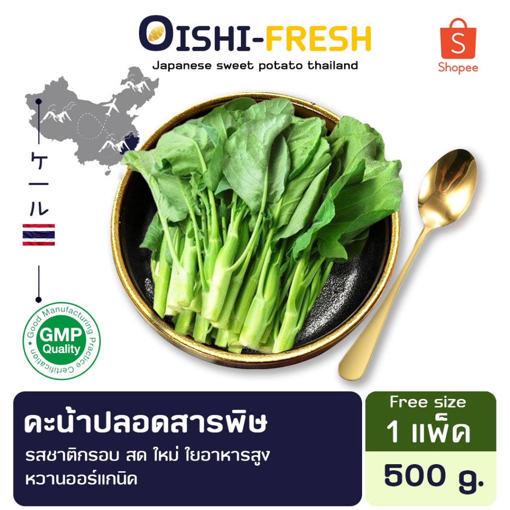 🛒ส่งด่วน🥬ผักคะน้า ปลอดสารพิษ 1 กก. รสชาติกรอบ สด ใหม่ ใยอาหารสูง หวานออร์แกนิค เคลมได้ 1-2 วัน