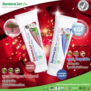 Burnova Gel Plus Dragon’s Blood 20g เบอร์โนว่า เจลลดรอยแผลเป็น รอยดำ รอยสิว ฟื้นฟูผิว