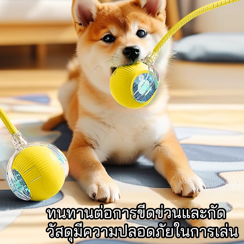 ลูกบอลแมว บอลอัตโนมัติ หมา สัตว์เลี้ยงสุนัข สมาร์ทไฟฟ้า หมุนได้ ของเล่นโต้ตอบ