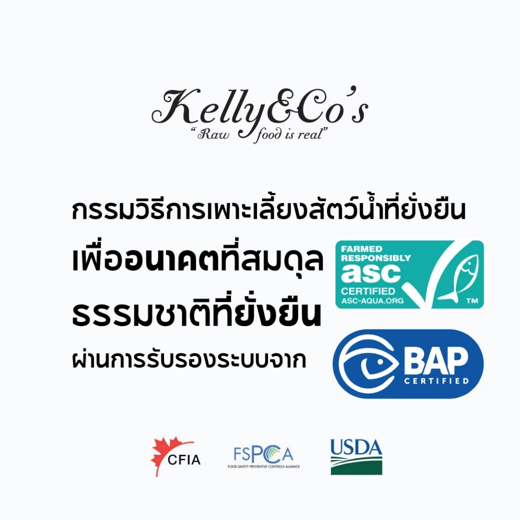 Kelly and Co ผงโปรตีนโรยอาหารแมว สูตรปลาแซลมอน 50 กรัม thumbnail 8