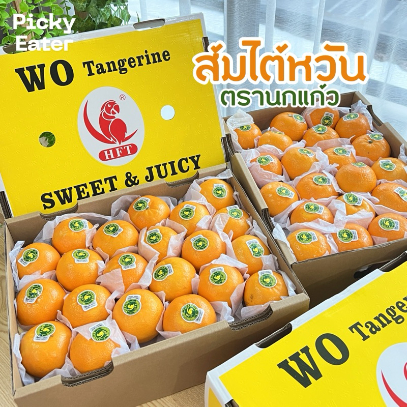 ส้มไต้หวัน ตรานกแก้ว ส้มไต้หวันแท้ รสชาติหวานฉ่ำ ลูกใหญ่ผิวสวย