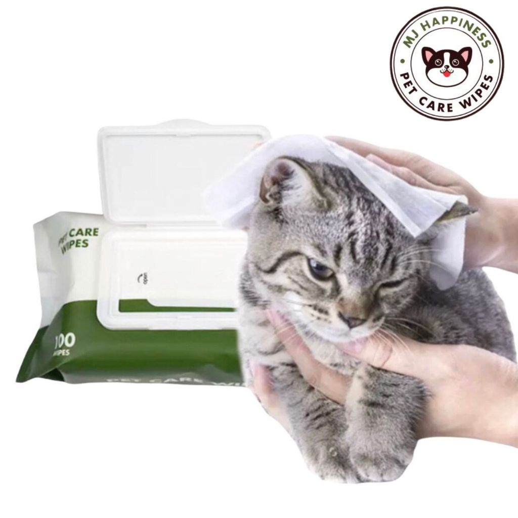 รูปภาพ 7