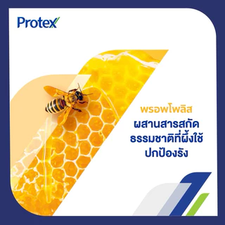 Protex โพรเทคส์ ครีมอาบน้ำ พรอพโพลิส เฟรช ไอซ์ซี่ บอลส์ซัมแคร์ ขนาด 450 มล. สินค้าแท้100%