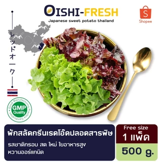 🛒Oishi-Fresh🥬ผักสลัดกรีนเรดโอ๊ค ปลอดสารพิษ 1 กก. รสชาติกรอบ สด ใหม่ ใยอาหารสูง ออร์แกนิค เคลมได้ 1-2 วัน