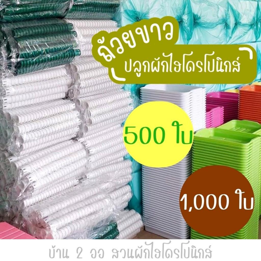 ถ้วยปลูกผักไฮโดรโปนิกส์ Hydroponic 100 ใบ