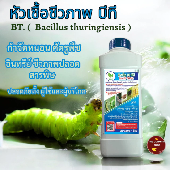 หัวเชื้อ เชื้อบีที , BT สำหรับ กำจัดและป้องกัน หนอนศัตรูพืช