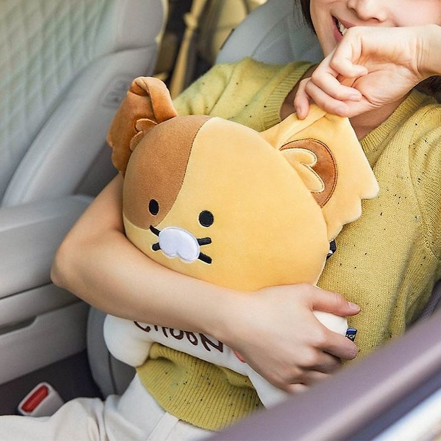 พร้อมส่ง✨Car Accessories Puppy Choonsik ตุ๊กตาฟอกอากาศ/เคสพวงกุญแจสมาทคีย์/ หมอนรองคอ cover belt น้ำหอมติดรถและอื่นๆ ราคา ถูกที่สุด ดีลบีเคเค แกลเลอรีภาพที่ 3