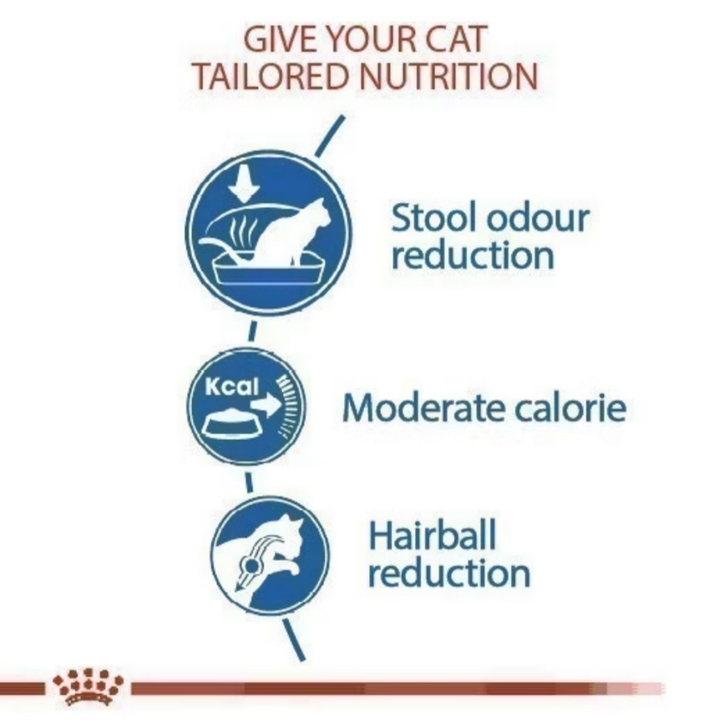 Royal canin Indoor อาหารเม็ดแมวโตเลี้ยงในบ้าน 400กรัม 2 รูปที่ 4