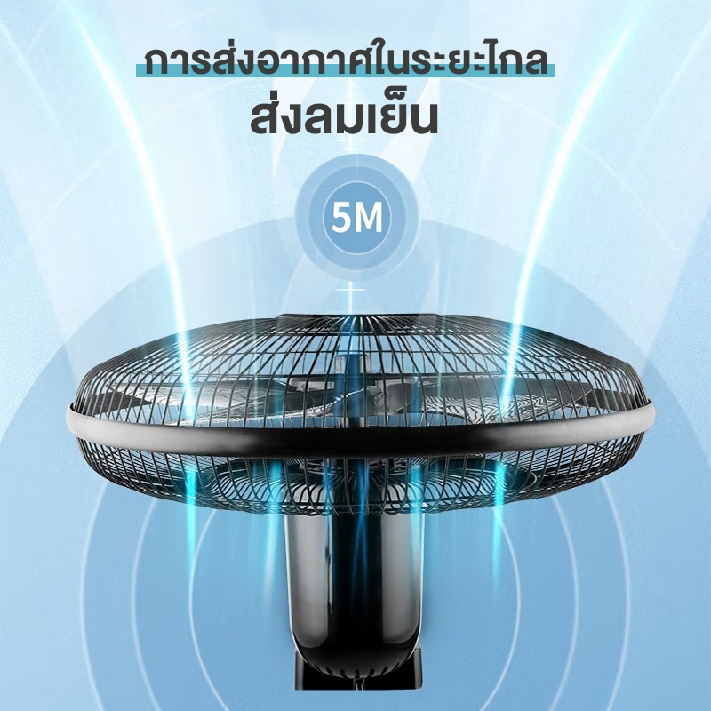 รูปภาพ 4