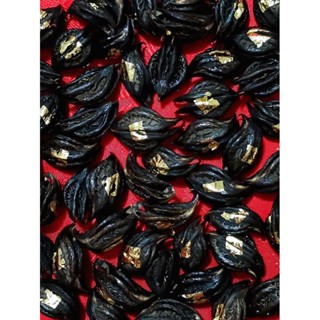 เครื่องรางวัตถุมงคลเกี่ยวทรัพย์ ว่านพญาเล็บครุฑ กระจับเงินกร…