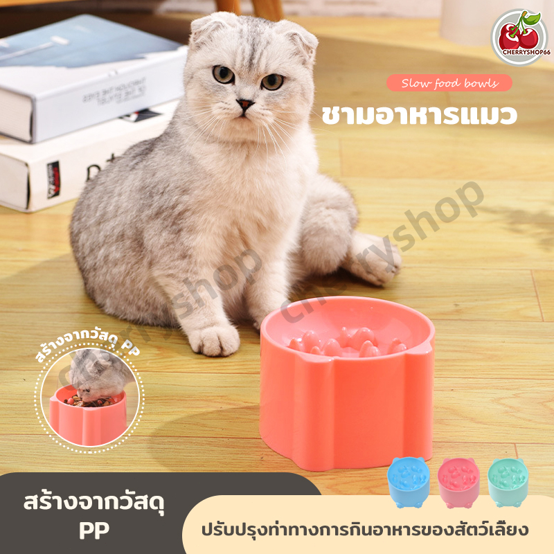 FurryCuddle พร้อมส่ง ชามลดการกินเร็ว ชามอาหารสัตว์เลี้ยง ชามอาหารแมว วัสดุพลาสติกPP มีช่องแยกอาหารเปียก COD MIP172