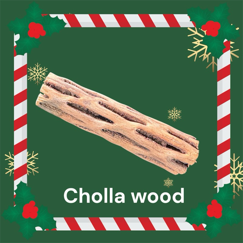 Cholla Wood by Nature Made ไม้ธรรมชาติ 100% สำหรับตกแต่งตู้ปลา (3”)
