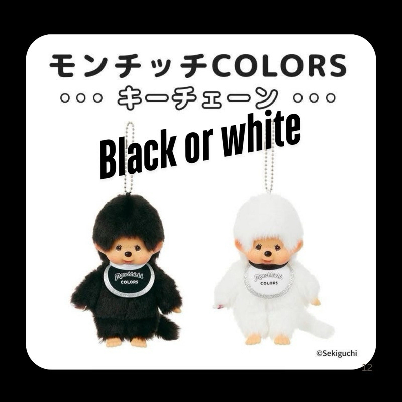 พร้อมส่ง new collection back white