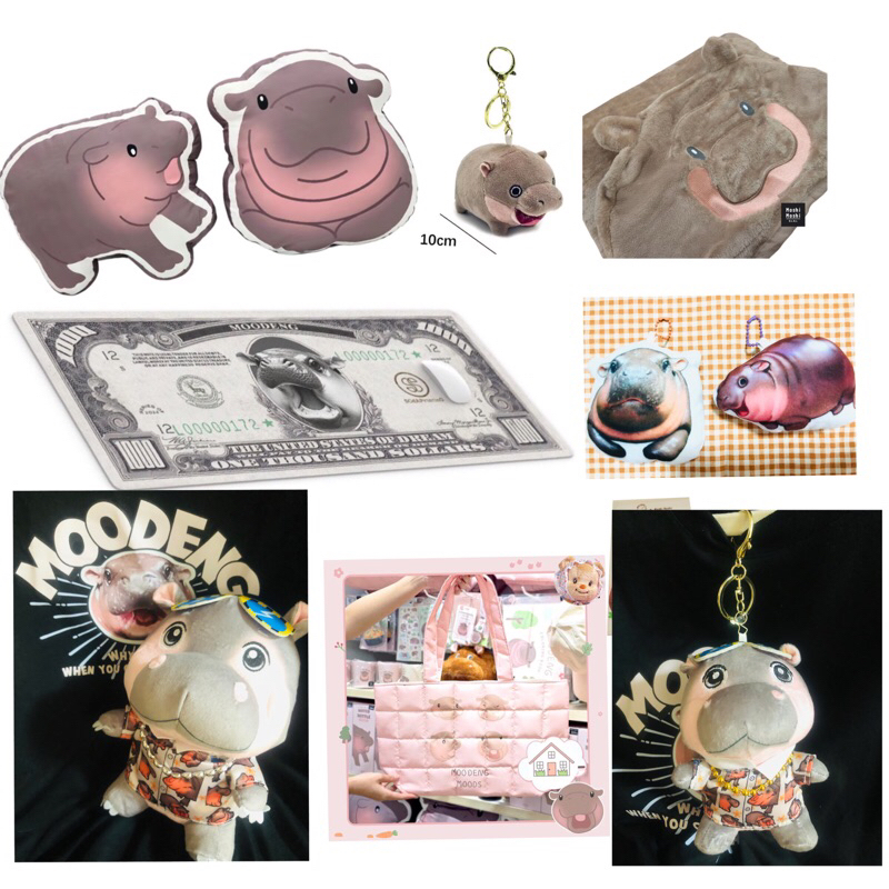 Moshi ส่วนลด150ผ้าห่มมีหมวก Moodeng ลายหมูเด้ง ผ้าห่มขนนุ่ม ลายน่ารัก