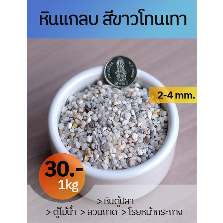 หินแกลบ หินแม่น้ำคละสี สีขาวโทนเทา # 00 { 2-4 mm.} ตกแต่งกระถาง เลี้ยงปลาสวยงาม จัดสวนจิ๋ว ระบบนิเวศน์จำลอง