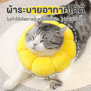 🏵️ collar แมว ปลอกคอแมว คอลล่าแมว ปอกคอแมว ปลอกคอกันเลีย ปอกคอสัตว์เลี้ยง ลำโพงกันเลีย ปอกคอกันเลีย คอลล่าสุนัข คอลล่า