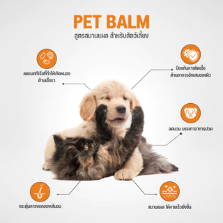 Goodboss Pet Balm บาล์มเเท่งสำหรับสัตว์เลี้ยง ช่วยให้เเผลเเห้งเร็ว ขนาด 5 กรัม ผลิตภัณฑ์ออแกนิค