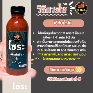 โซระ เสริมการแตกตัวของไรแดงในน้ำเขียวและน้ำใส