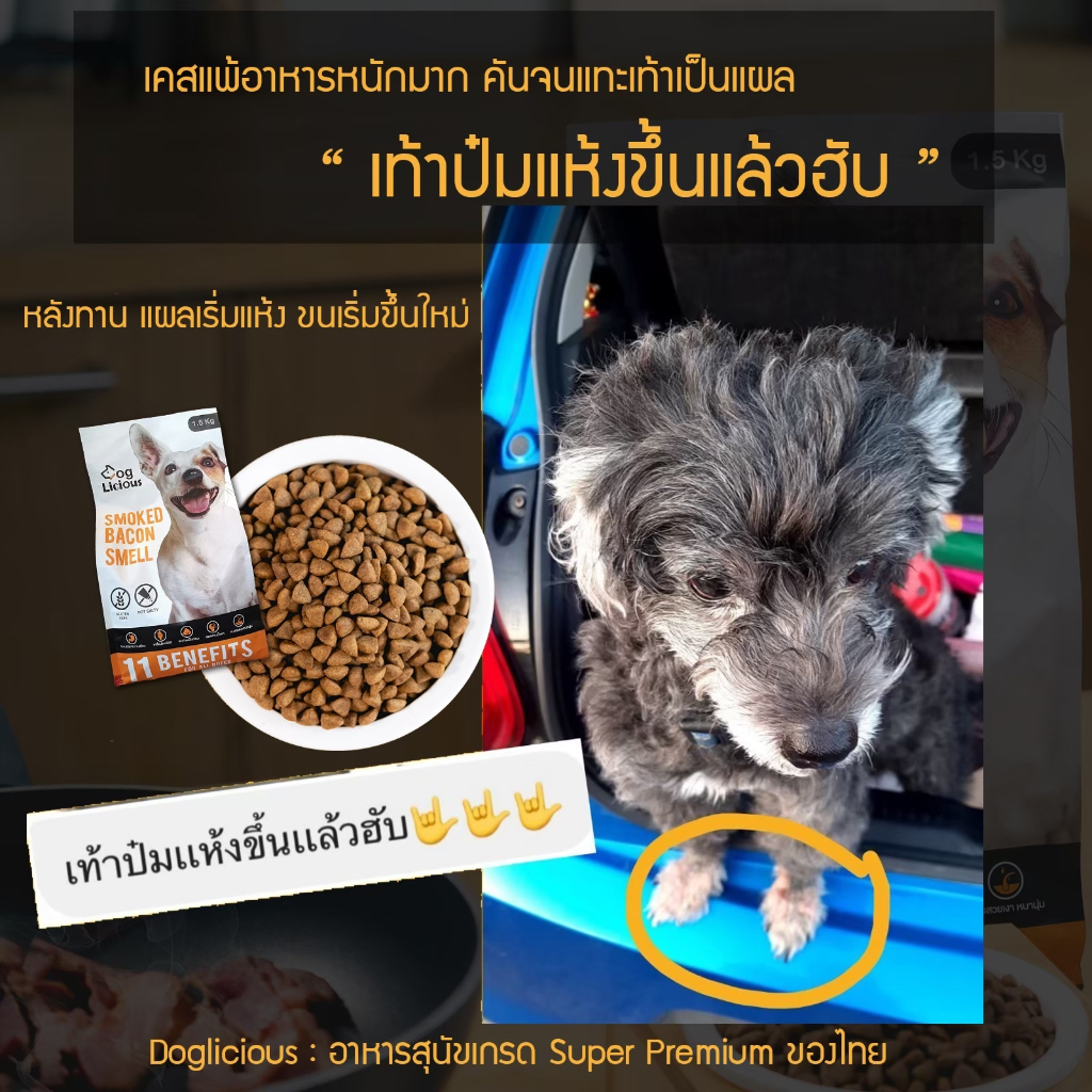 1.5 Kg. อาหารสุนัข Doglicious อาหารสุขภาพสำหรับสุนัข - Sensitive Gluten Free รูปที่ 3
