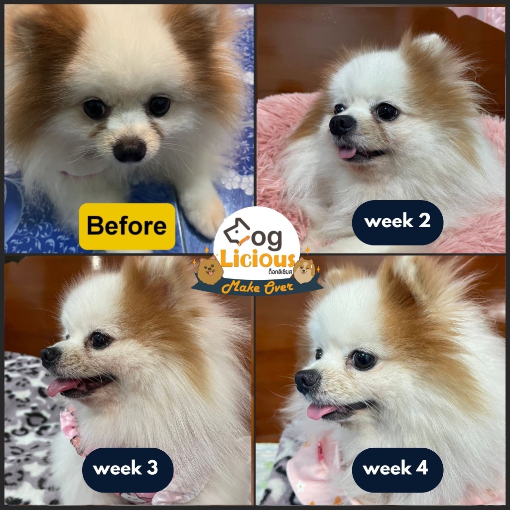1.5 Kg. อาหารสุนัข Doglicious อาหารสุขภาพสำหรับสุนัข - Sensitive Gluten Free รูปที่ 6