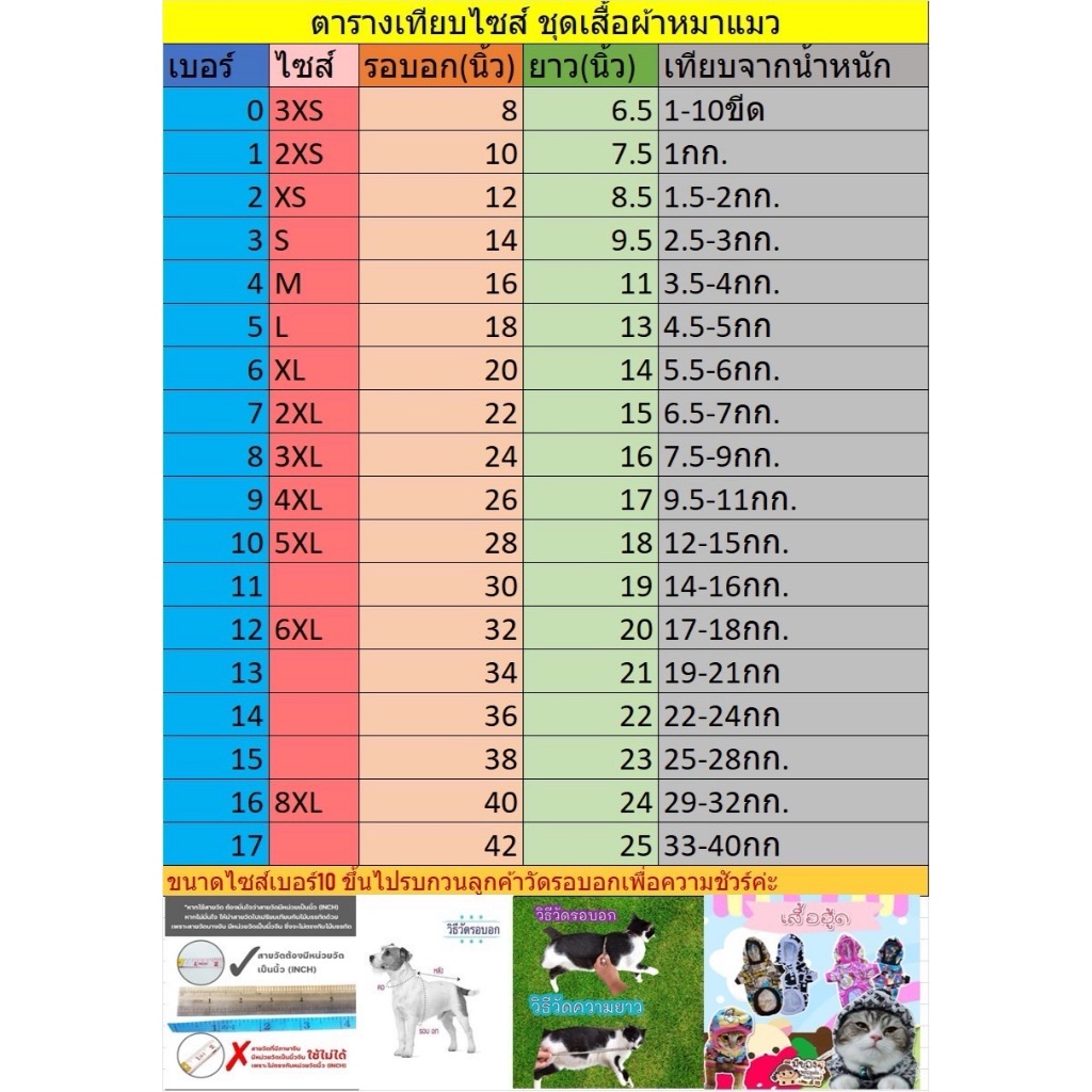 รูปภาพ 9